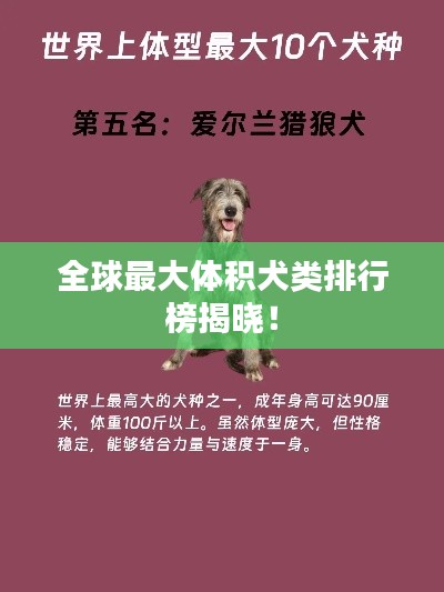 全球最大体积犬类排行榜揭晓！