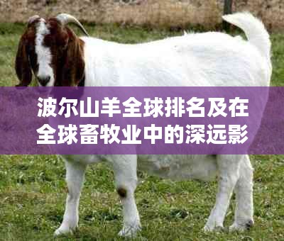 2025年6月 第34页