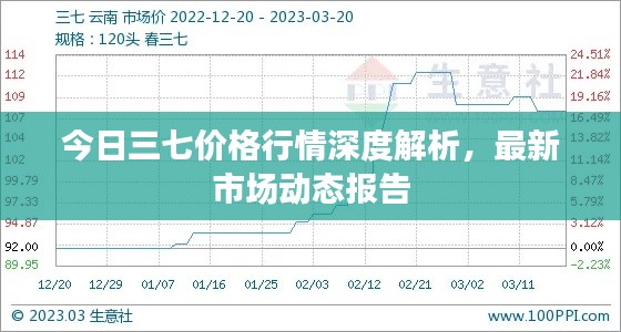 今日三七价格行情深度解析，最新市场动态报告