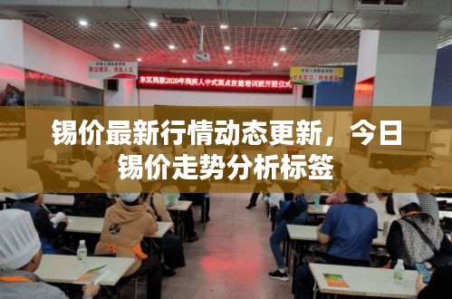 锡价最新行情动态更新，今日锡价走势分析标签