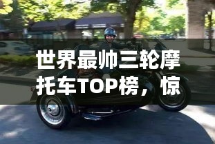 寥若晨星