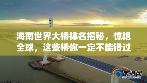 2025年6月 第17页