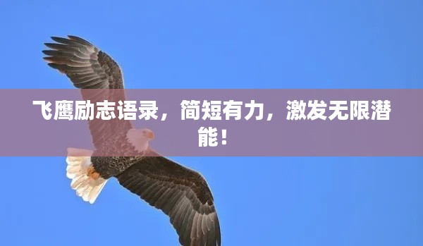 2025年6月 第12页